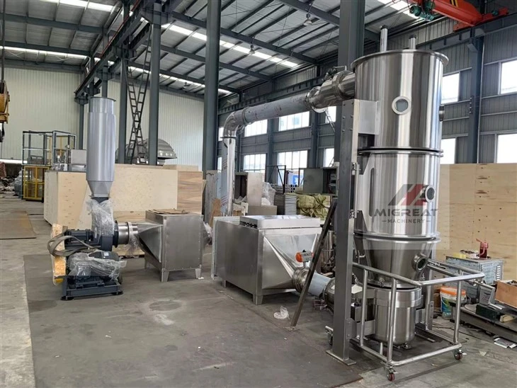 pharmaceutical granulator machine (3)(001)