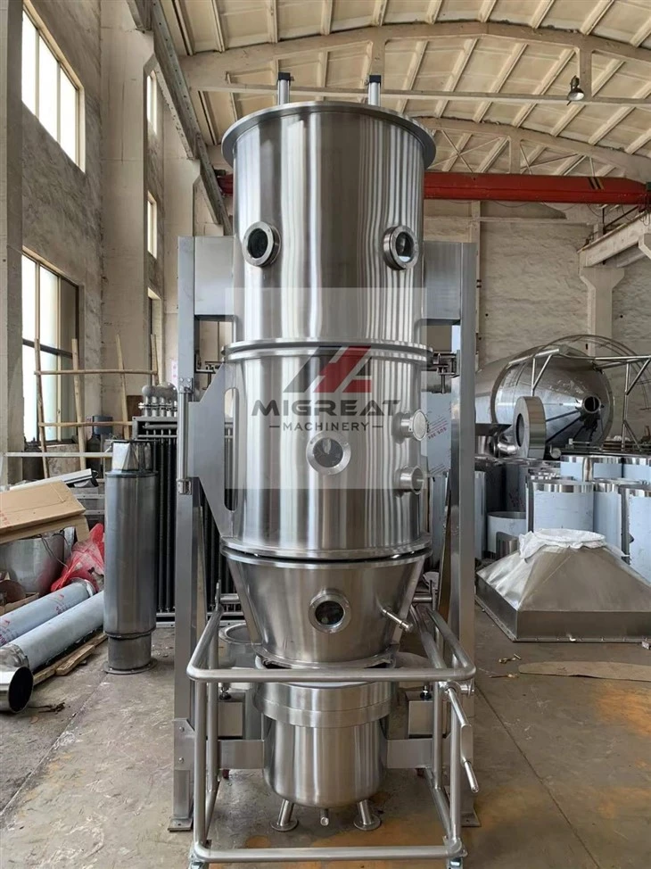 pharmaceutical granulator machine (2)(001)